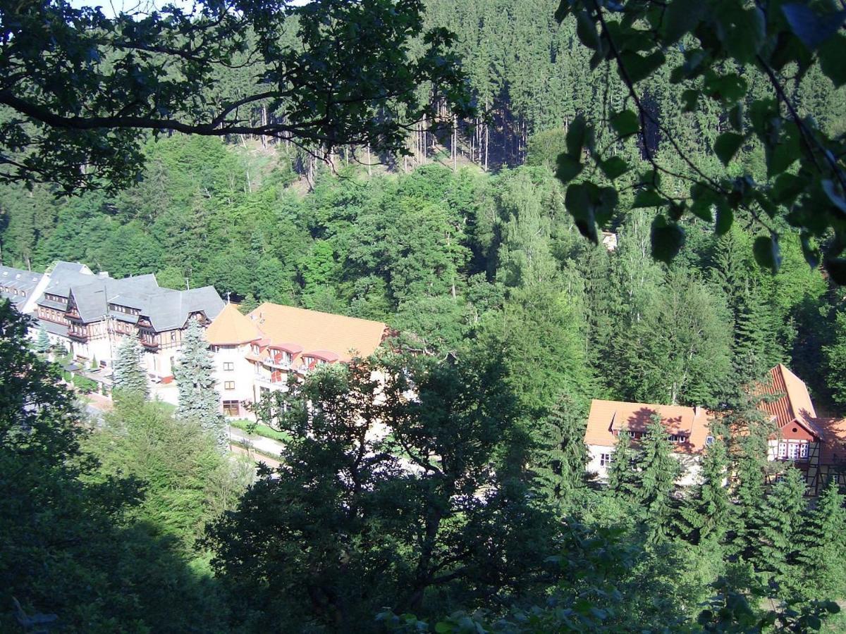 Hotel Habichtstein Alexisbad Kültér fotó