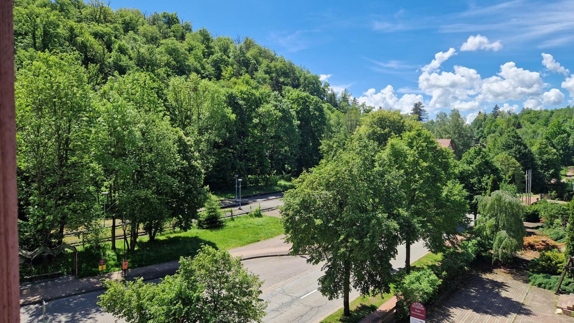 Hotel Habichtstein Alexisbad Kültér fotó